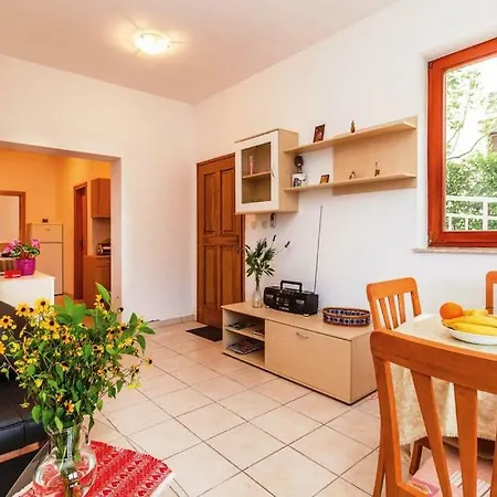 Amz Ap 1 * 卓得诺沃